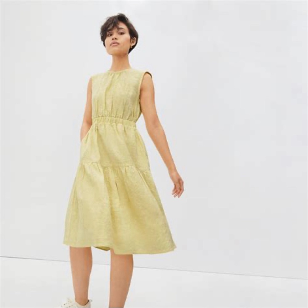 Everlane The Linen Open Back Dress